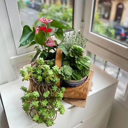 Appartement Loaina à Bilbao Extérieur photo
