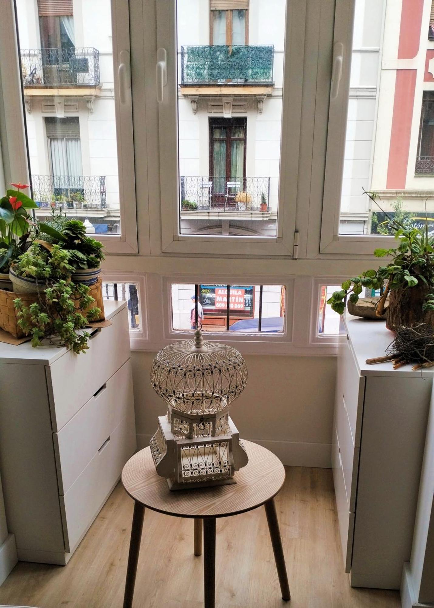 Loaina Apartament