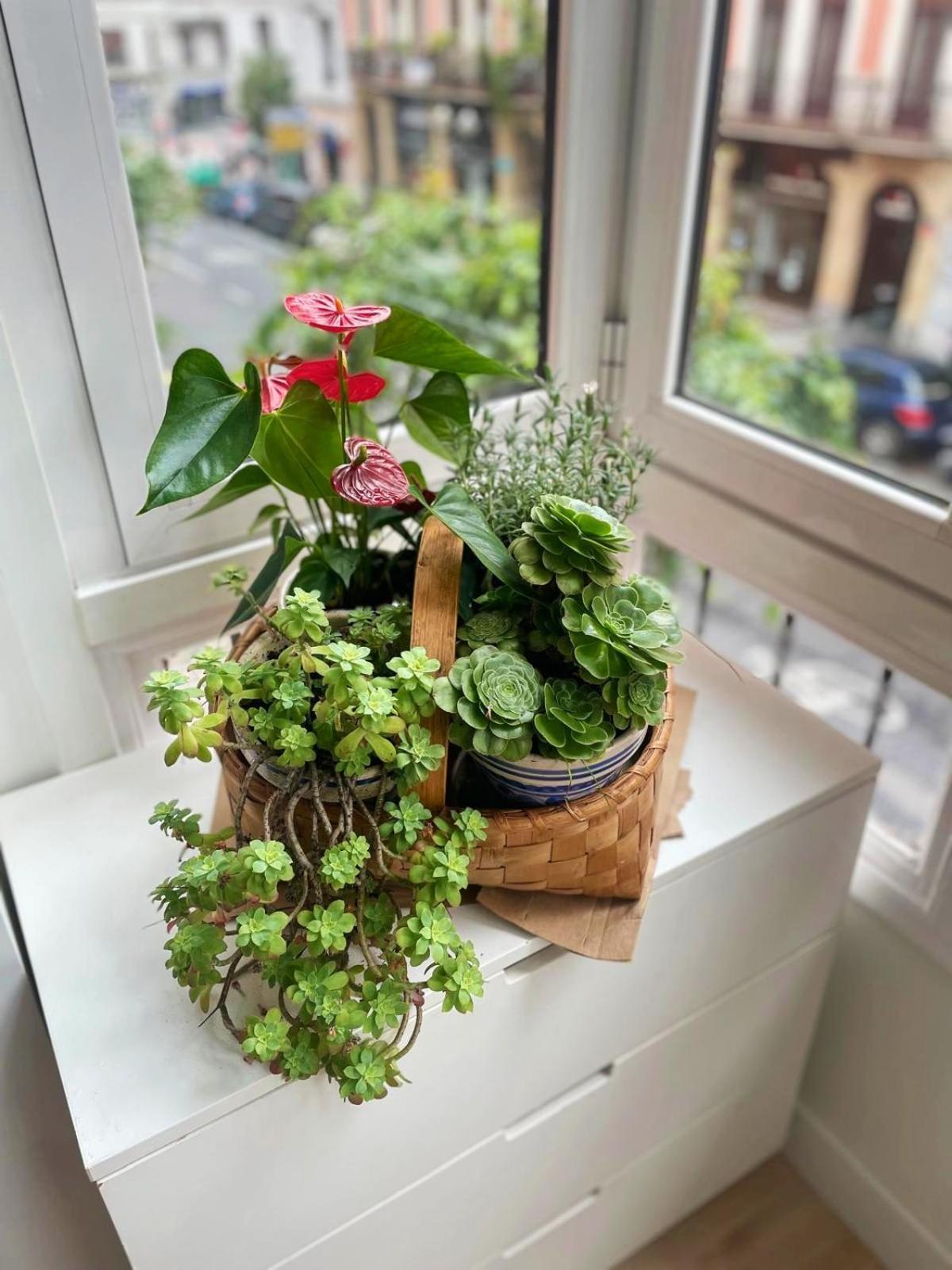 Apartamento Loaina Bilbau